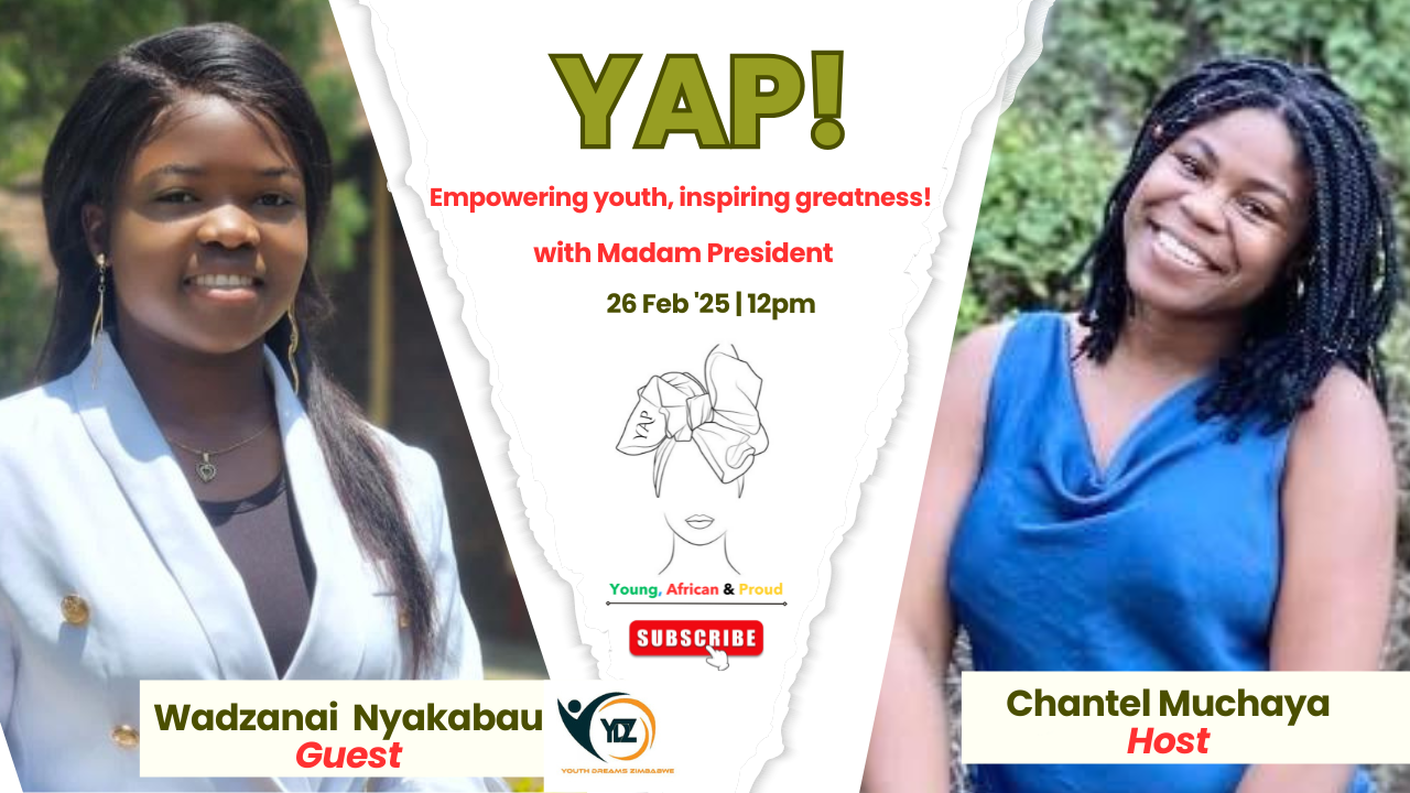 YAP - Wadzanai Nyakabau